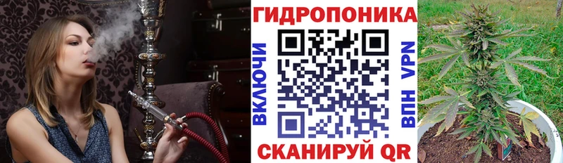 Наркошоп Кашин COCAIN  Alpha-PVP  Гашиш  MEGA ссылка  Меф мяу мяу  Марихуана 